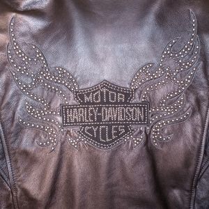 Harley Davidson Leather Studded Jacket